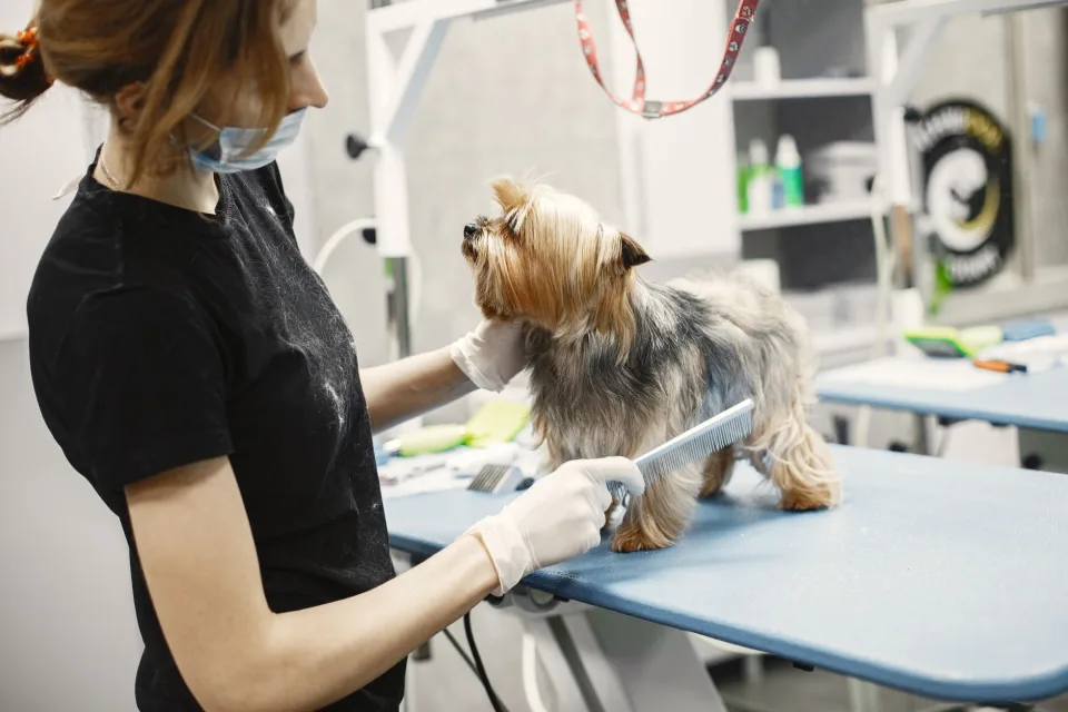 Hình ảnh tại Phòng Khám Thú Y Good Pet 5
