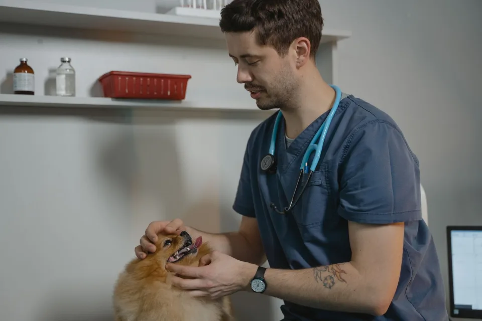 Hình ảnh tại Phòng Khám Thú Y Good Pet 2
