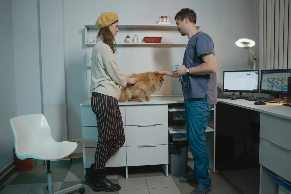 Hình ảnh tại Phòng Khám Thú Y Good Pet 6